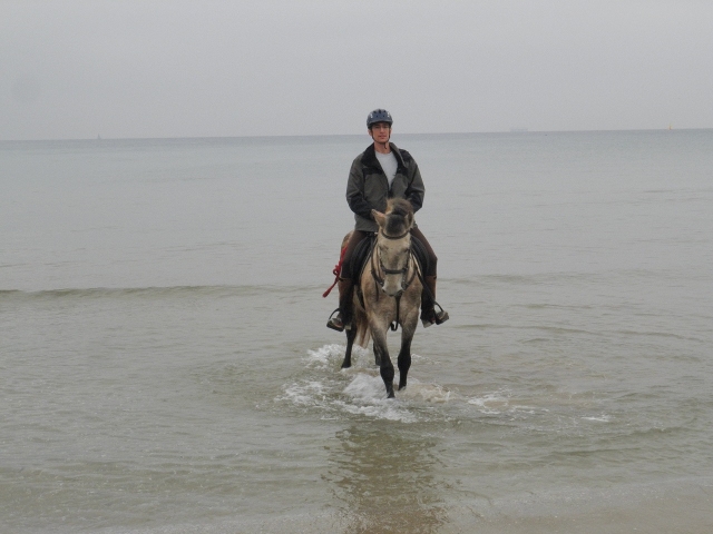  Mit dem Pferd das Wasser verlassen 